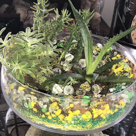 Thalassa Hotel Ammouliani